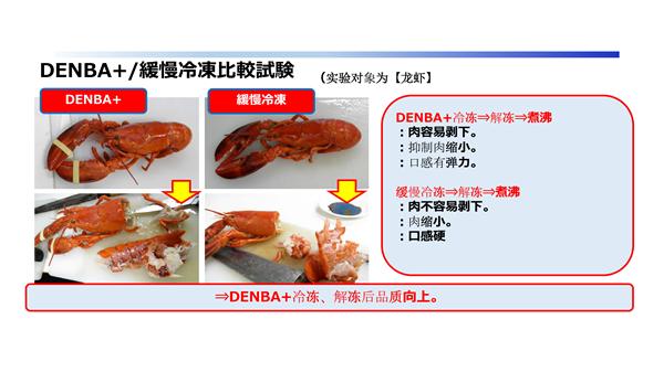 denba价格 日本DENBA+问世(4)