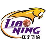 辽宁需要将来举办全明星赛，那将是辽宁篮球的一个气质升华。(1)