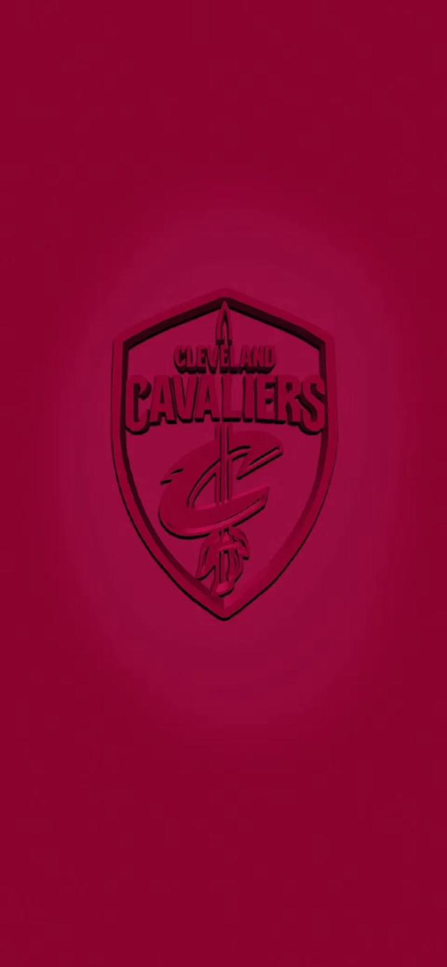 nba球队队徽2017版图 NBA球队队徽壁纸(8)