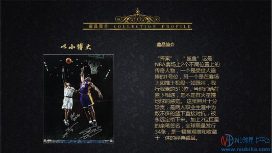 上海nba球星卡 球星卡首次以体育藏品身份亮相上海(8)