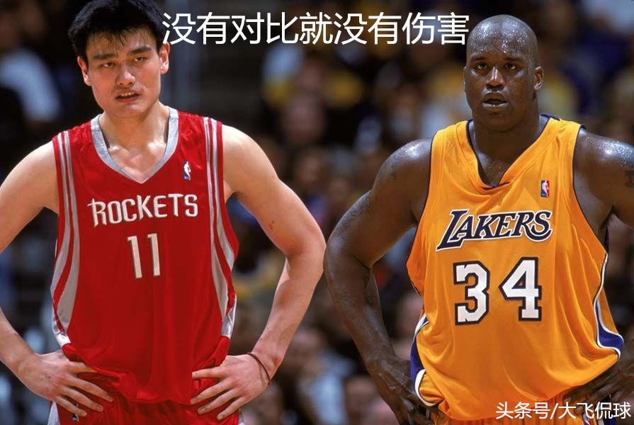 nba历史十大壮汉第三 NBA历史五大壮汉(4)