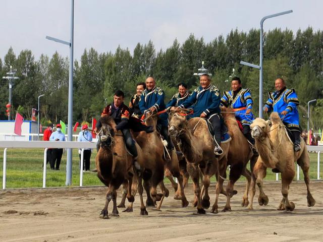 新疆第十届少数民族传统体育运动会开幕 东道主健儿夺得首个一等奖(6)
