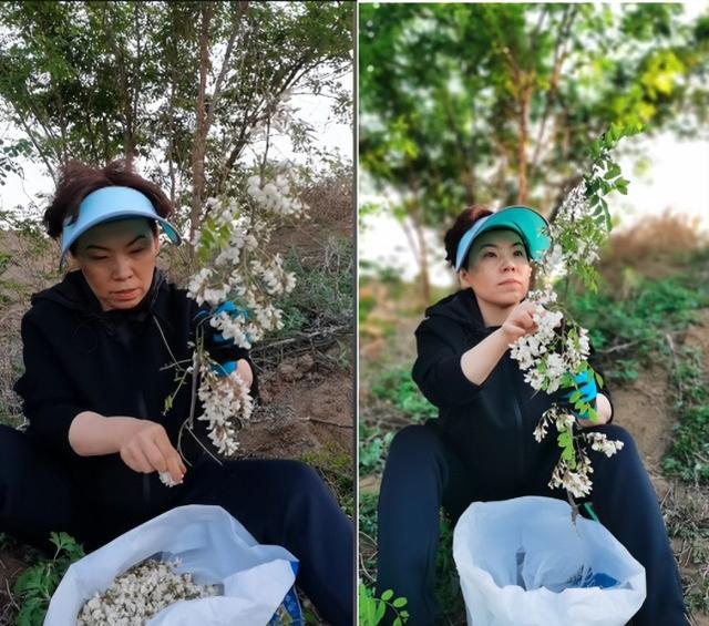 49岁邓亚萍晒出游照，同儿子在野外摘槐花，坐在泥地不怕脏(1)