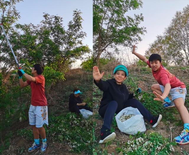 49岁邓亚萍晒出游照，同儿子在野外摘槐花，坐在泥地不怕脏(2)