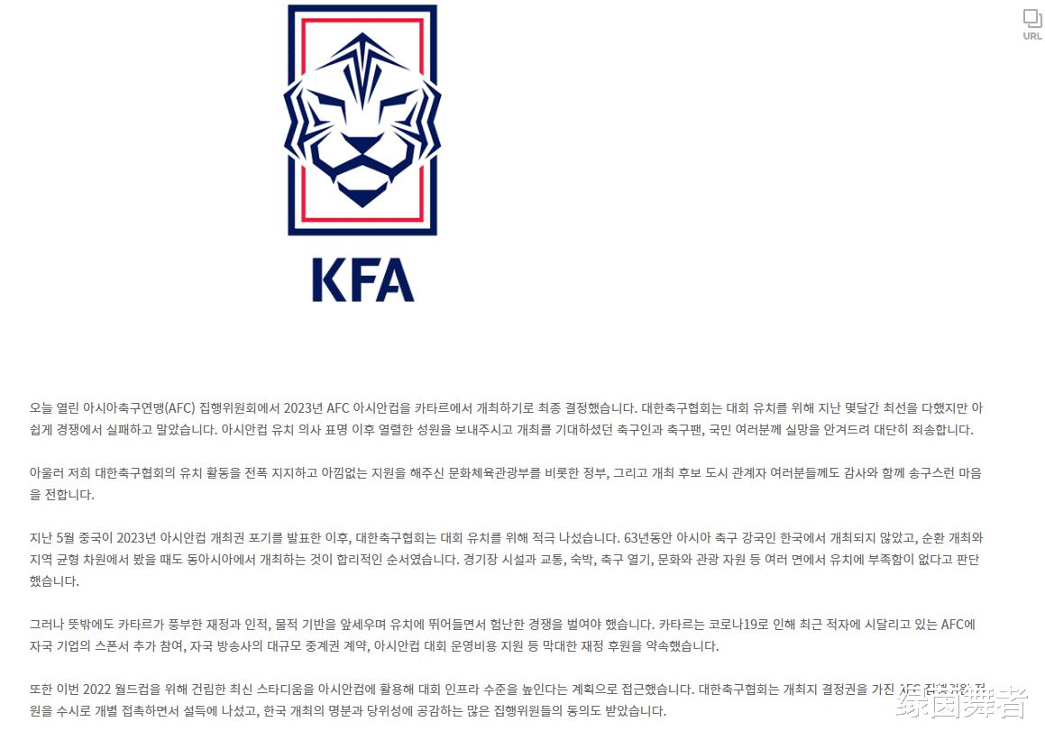 韩国足协爆猛料！亚足联黑幕被揭开，卡塔尔再造丑闻，球迷骂声一片！(4)