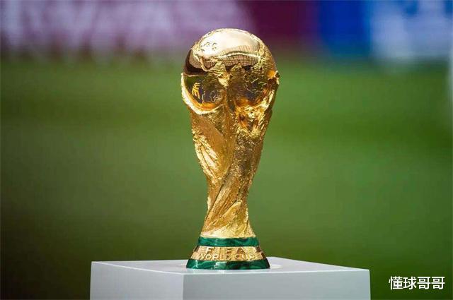 世界杯作为全球最大的体育赛事，为什么我国不申请举办呢？(2)