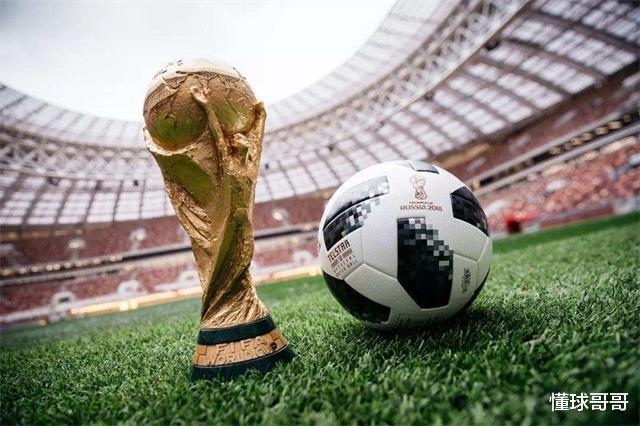 世界杯作为全球最大的体育赛事，为什么我国不申请举办呢？(4)