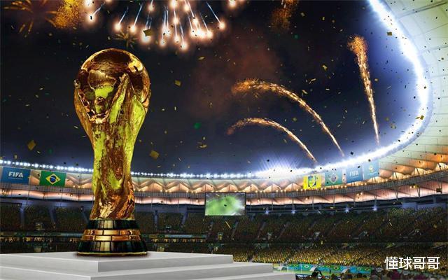 世界杯作为全球最大的体育赛事，为什么我国不申请举办呢？(5)