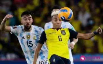 世界杯厄瓜多尔开场三分钟进球被吹，说明两点(2)