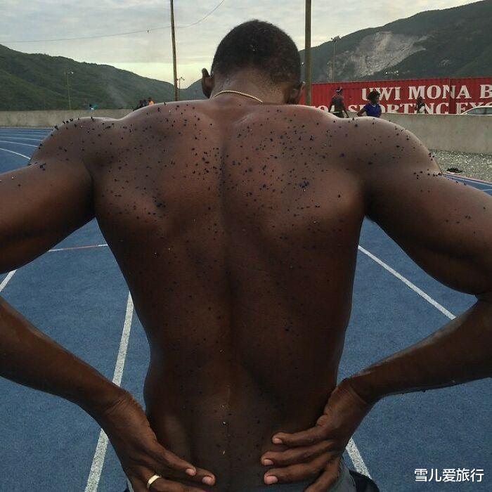 30张图片，奥运选手的身体，跟普通正常人有哪些不同？可以看一看(4)