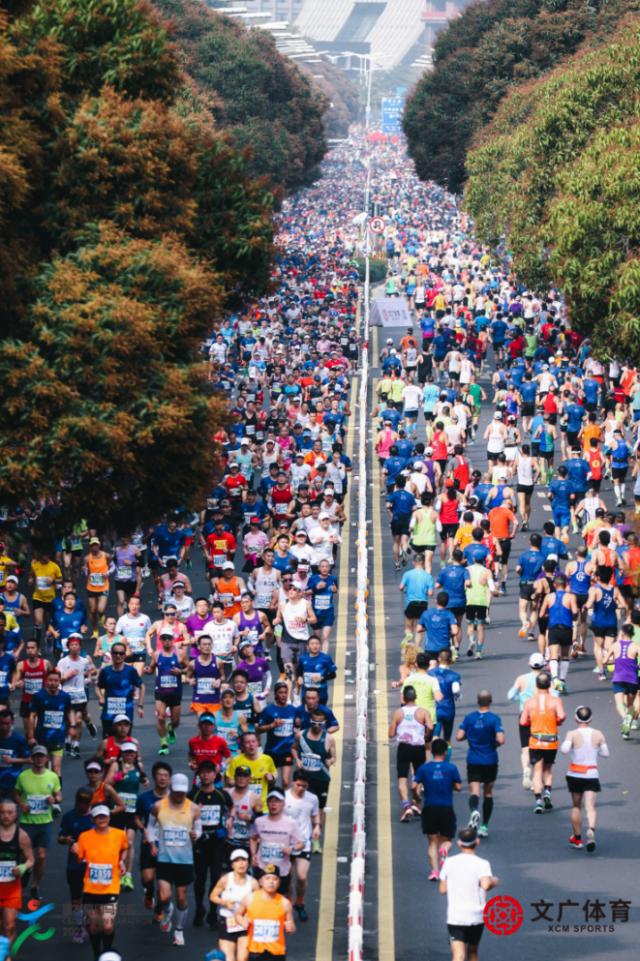 厦门马拉松赛鸣枪 3.5万跑者齐聚“最美环岛赛道”(14)