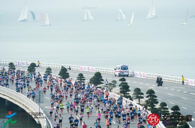 厦门马拉松赛鸣枪 3.5万跑者齐聚“最美环岛赛道”(15)