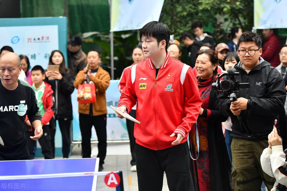 樊振东：乒乓球场上的独行侠，生活中的霉粉领袖(4)