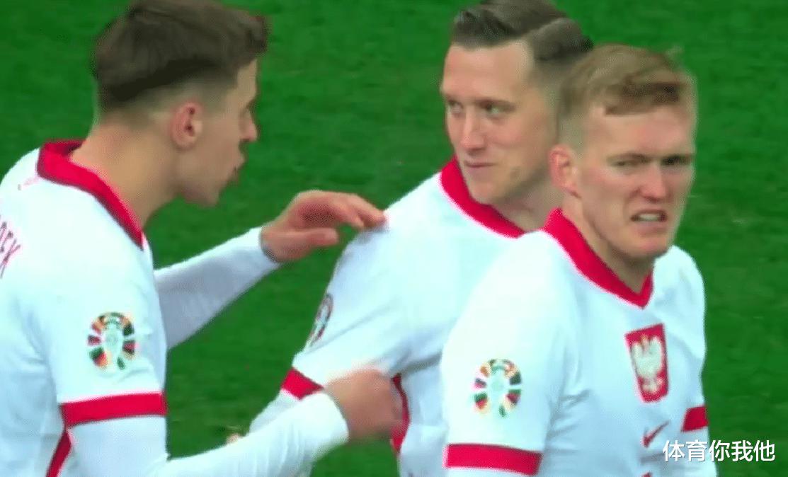 4-1后！威尔士进欧洲杯附加赛决赛，下轮对阵波兰，再赢就晋级(3)