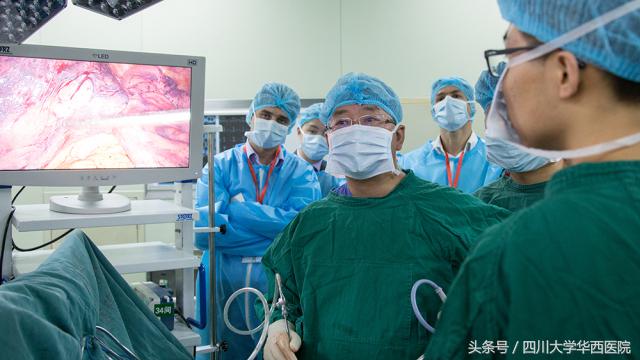 成都华西甲外科 欧洲外科医生组团来华西医院“进修”(4)