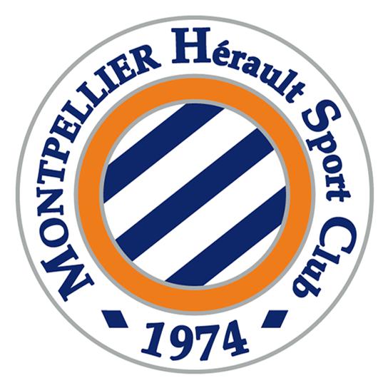 法甲波尔多队徽 新赛季法甲球队队徽(15)