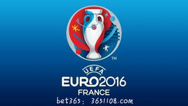 欧冠足球队图标 欧洲杯24强队徽(1)