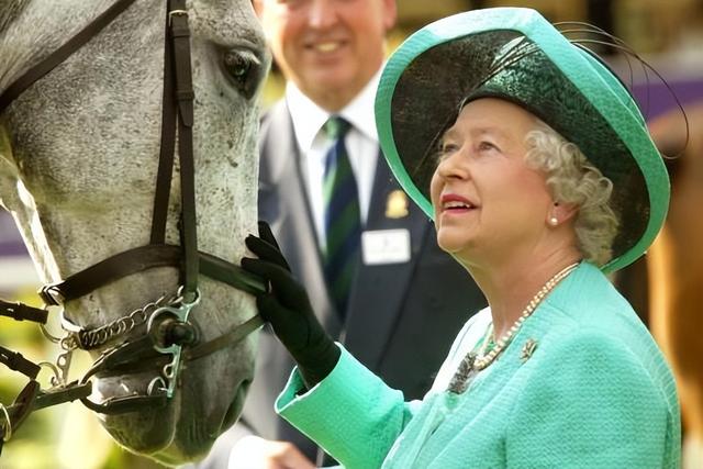 查尔斯国王将打破几十年的王室传统，把女王的12匹顶级赛马卖掉！(4)