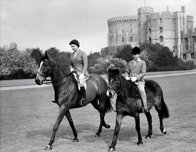 查尔斯国王将打破几十年的王室传统，把女王的12匹顶级赛马卖掉！(8)