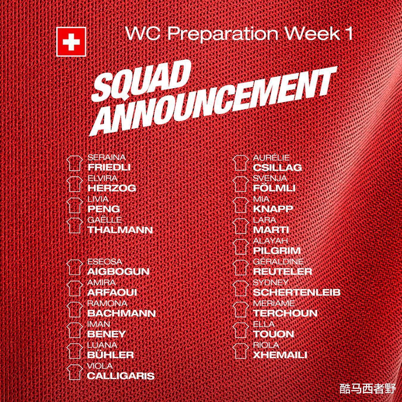 瑞士女足公布备战世界杯计划，多名年轻球员入选集训名单
