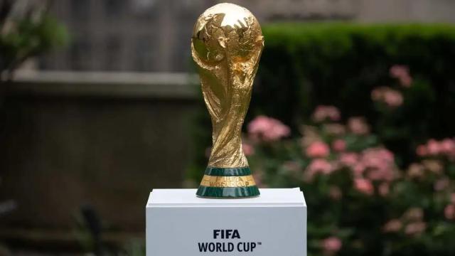 2034世界杯主办权成萝卜坑，沙特提前开香槟无妨？(1)