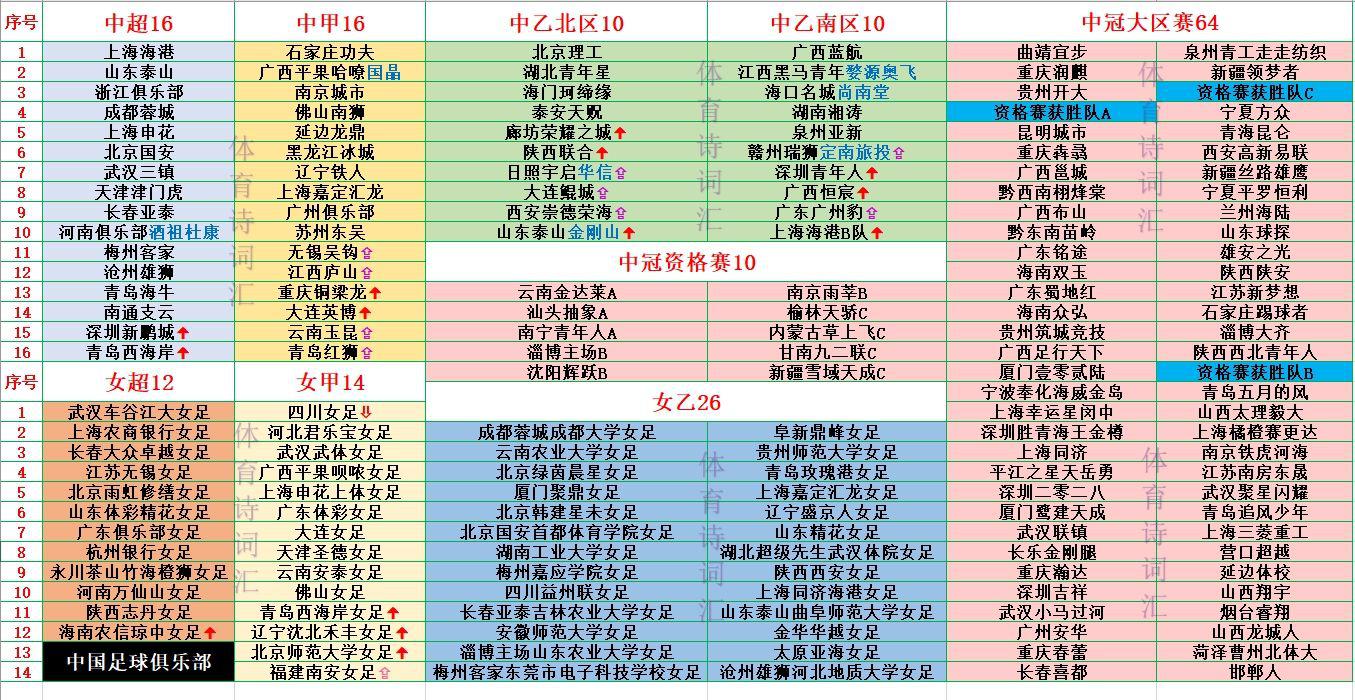 中国7级联赛175支队：中超、中甲、中乙、中冠、女超、女甲、女乙